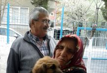 Hatice Teyze’nin köpek sevgisi fenomen oldu