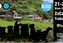 Trabzon’da köpek ırkı yarışması