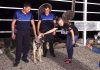 Fethiye’de bir köpek ‘turizm zabıtası’ oldu