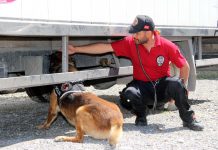 Hayatımızı Kolaylaştıran, Suçluları Yakalayan Narkotik Köpekleri