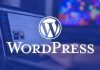 WordPress Eğitimi