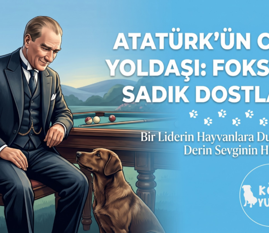 Atatürk ve Köpek Sevgisi: Ulu Önder’in Sadık Dostları | Köpek Yuvası